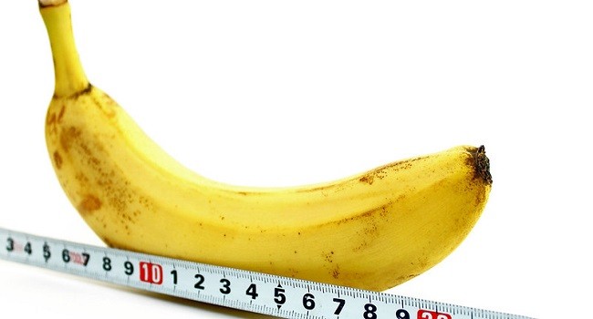 What Is The Size Of Small, Medium and Large Size Penis